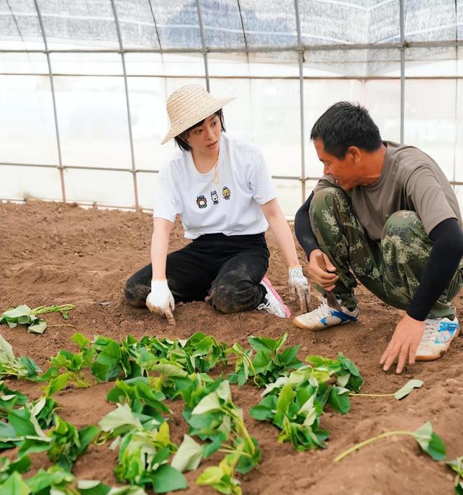 莹同是种菜差距大！一个接地气一个太做作新