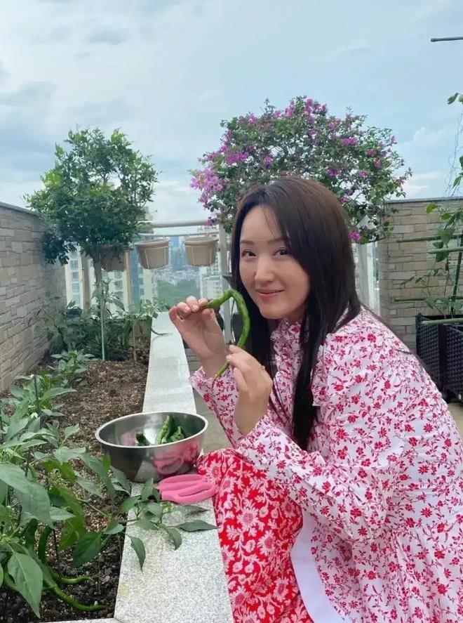 莹同是种菜差距大！一个接地气一个太做作新利体育网站登录40岁孙俪和51岁杨钰(图3)