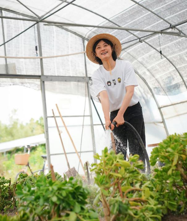 莹同是种菜差距大！一个接地气一个太做作新利体育网站登录40岁孙俪和51岁杨钰(图5)