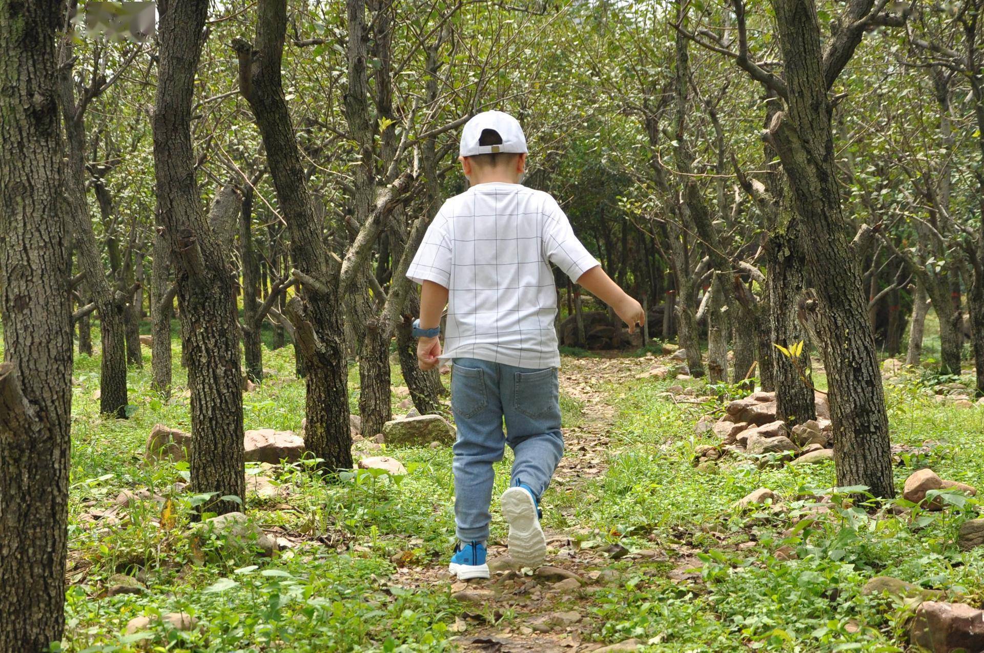 轻弹透气旋钮系带更方便穿脱这是一双适合中大童的跑鞋(图13)